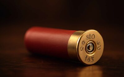 Why self defence 410 ammo is a smart pick for compact home defense